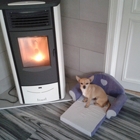 Tiergeschichten -heute, Luna!