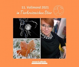 11. Vollmond 2021 im Tierkreiszeichen Stier