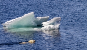 Knittelfeld: Vortrag von Lydia Reinprecht: „Klimawandel – mehr als nur CO2“
