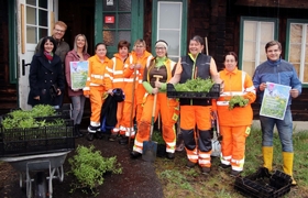 Murtal: Blühendes und summendes Knittelfeld