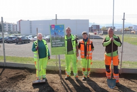 Neue Blumenwiese in Knittelfeld