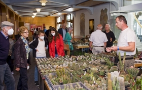 Internationale Kakteentage in Knittelfeld