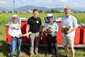 Murtal: Umweltlandesrätin zu Gast beim Stadtimker in Knittelfeld