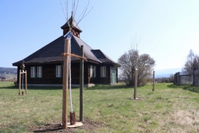 Neubepflanzung am Pumpwerk