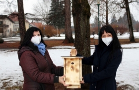 Neue Nistplätze für Singvögel in Knittelfeld