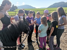 Knittelfeld: Pferde-Erlebnistag im Kindersommer
