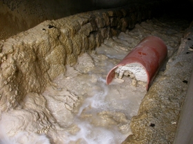 ASFINAG: Forschungsprojekt mit Molch und Spargel gegen verstopfte Wasserleitungen im Tunnel