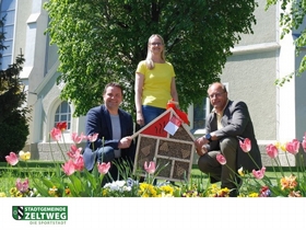 Am 20. Mai wurde der internationale Weltbienentag gefeiert.