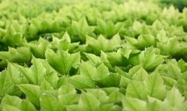 e5 ERFA - Save the date!