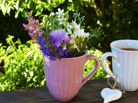 Murau: Sonderausstellung „Zeit lassen“ in der BienenVolksSchule in St. Ruprecht