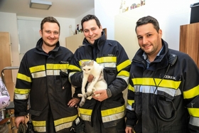 Murtal: Tierrettung in Apfelberg