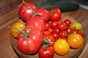 Die Tomate wird heute in Österreich gefeiert