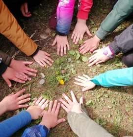 Waldgeister aufgepasst!